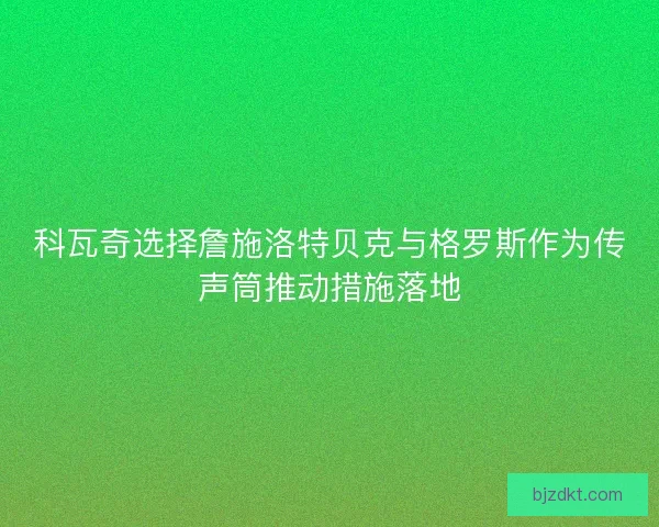 科瓦奇选择詹施洛特贝克与格罗斯作为传声筒推动措施落地
